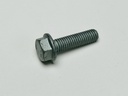 Cap Screw